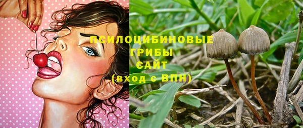 ALPHA PVP Белокуриха