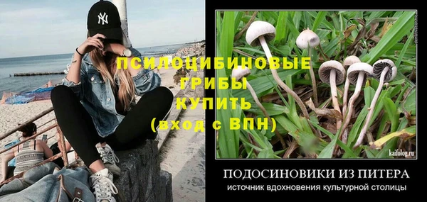 ALPHA PVP Белокуриха
