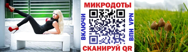 Псилоцибиновые грибы мицелий  OMG зеркало  Кунгур  купить наркотики сайты 